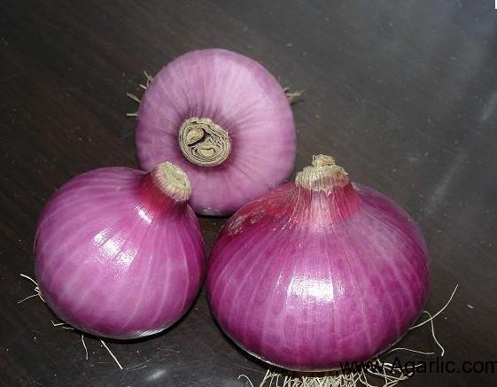 China red onion