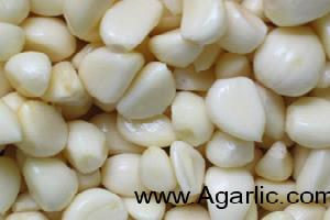 laiwu xinlong garlic clove