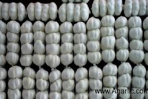 www.agarlic.com pure white garlic 6cm 4pcs 250g/mesh bag