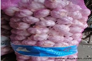www.agarlic.com garlic 20kg/mesh bag