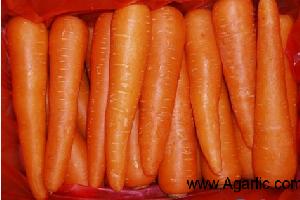 carrot--www.agarlic.com