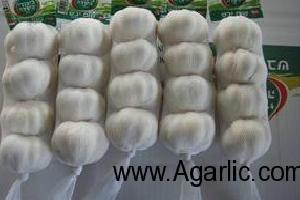 www.agarlic.com garlic 