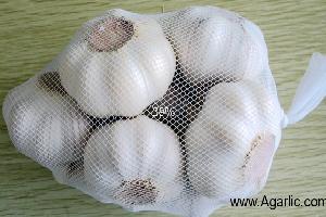 www.agarlic.com normal white garlic 