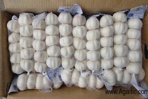 www.agarlic.com pure white garlic 