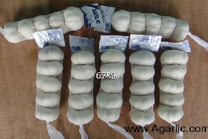 www.agarlic.com  pure white garlic 