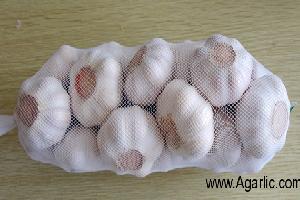 www.agarlic.com  normal white garlic 