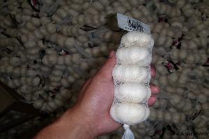 pure white garlic  www.agarlic.com