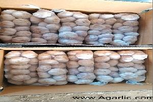 normal white garlic 1kg mesh bag  www.agarlic.com