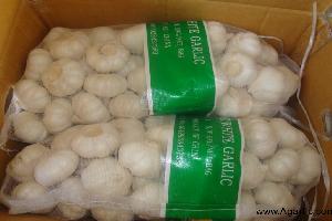 pure white garlic _Agarlic.com