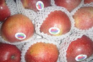 fuji apple paper bag1