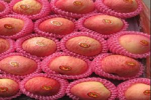 fuji apple plastic bag