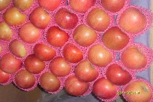 fuji apple plastic bag