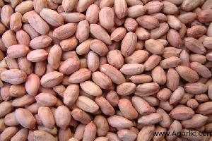 peanuts  www.agarlic.com