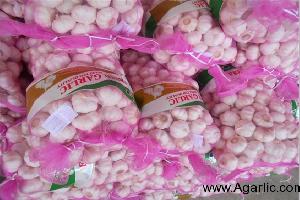 china garlic exporter